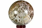 Colorful, Petrified Wood Sphere - Madagascar #118587-1